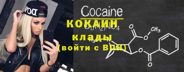 хмурый Сосновка