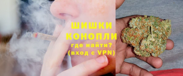 PSILOCYBIN Сосновый Бор