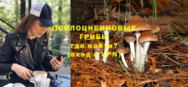 хмурый Сосновка