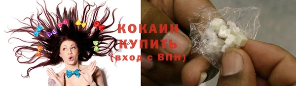 хмурый Сосновка