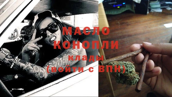 хмурый Сосновка