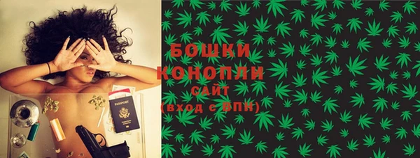 стафф Сосновоборск