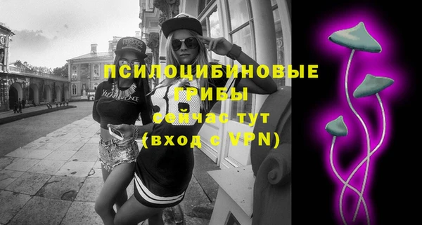 PSILOCYBIN Сосновый Бор