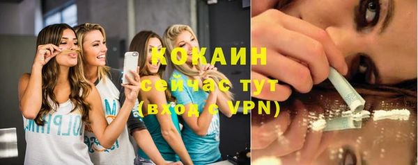 хмурый Сосновка